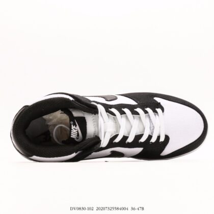 Nike Dunk SB High DV0830-102