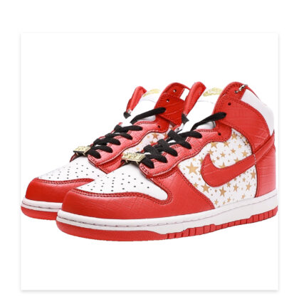 Nike Dunk SB High 307385-161