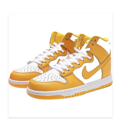 Nike Dunk SB High DD1869-106
