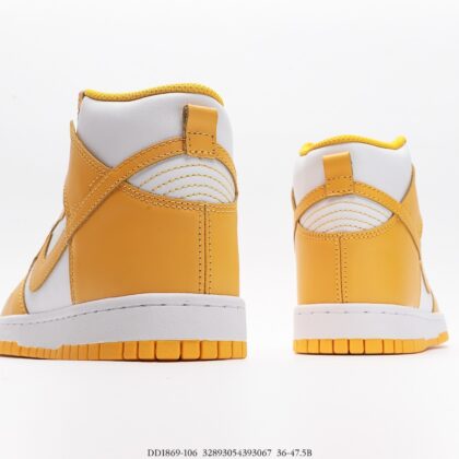 Nike Dunk SB High DD1869-106