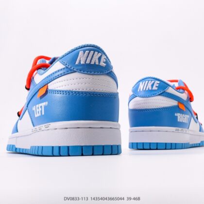 Nike Dunk SB Low DV0833-113