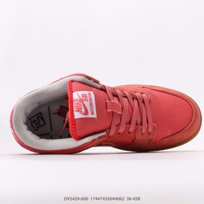 Nike Dunk SB Low DV5429-600