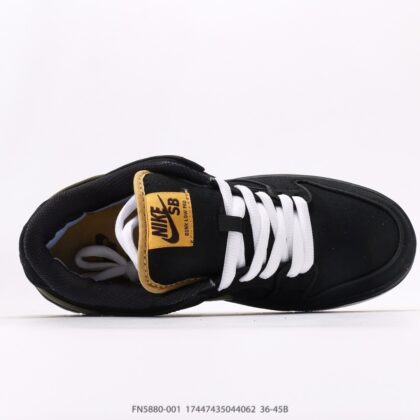Nike Dunk SB Low FN5880-001