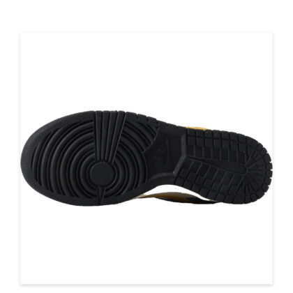 Nike Dunk SB Low CJ6501-100