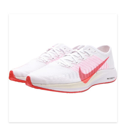 Nike Pegasus 36 AT2863-100