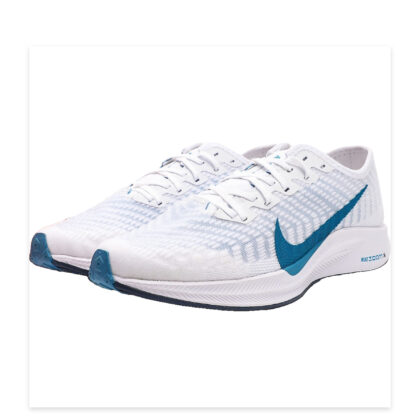 Nike Pegasus 36 AT2863-100