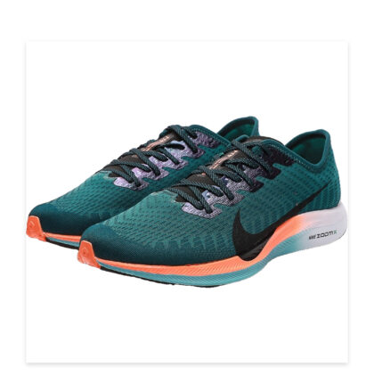 Nike Pegasus 36 CN6928-300