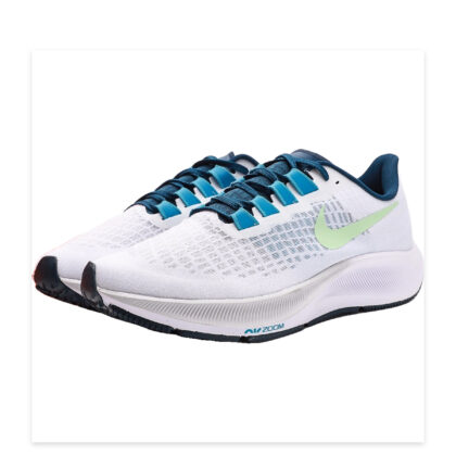 Nike Pegasus 37 BQ9646-101