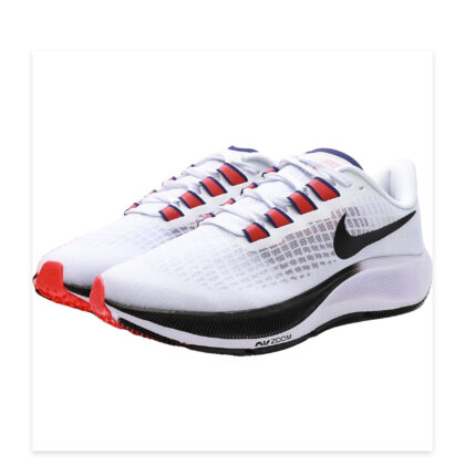 Nike Pegasus 37 CQ9908-100