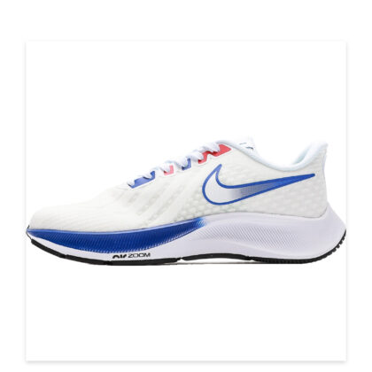 Nike Pegasus 38 CJ0292-002